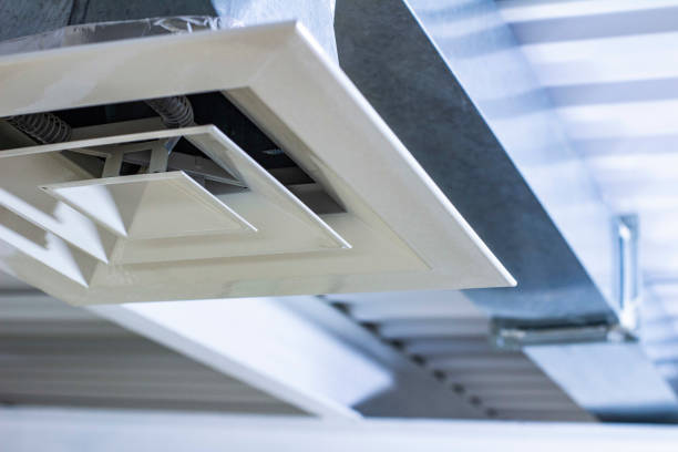 Best Dryer Vent Cleaning Services  in Rector, AR